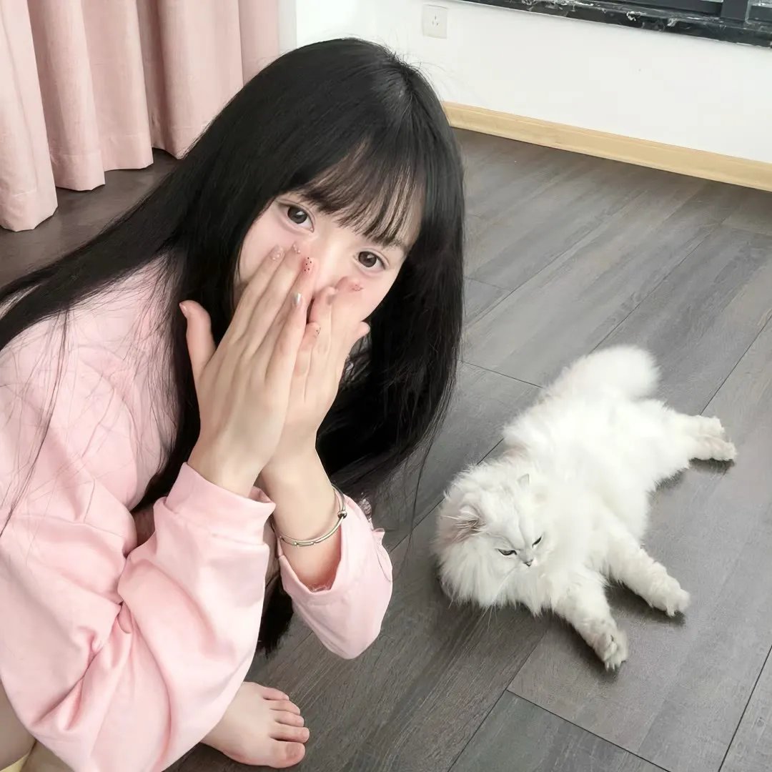 汪汪队立大功第九季